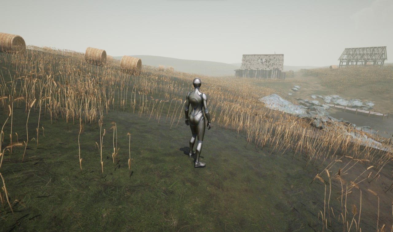 Fogbound Steppe